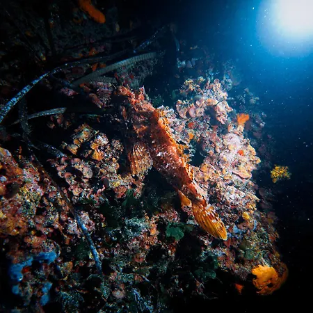 Apartment Rivage De Reve - *