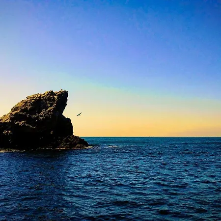 Rivage De Rêve - * Hyères