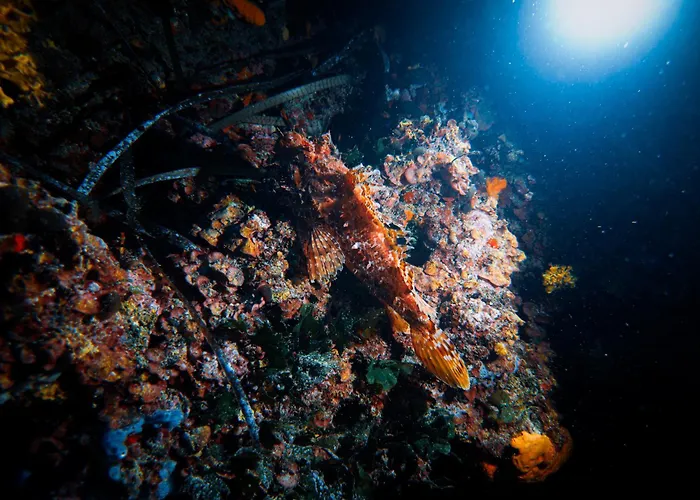 Appartement Rivage De Rêve - *