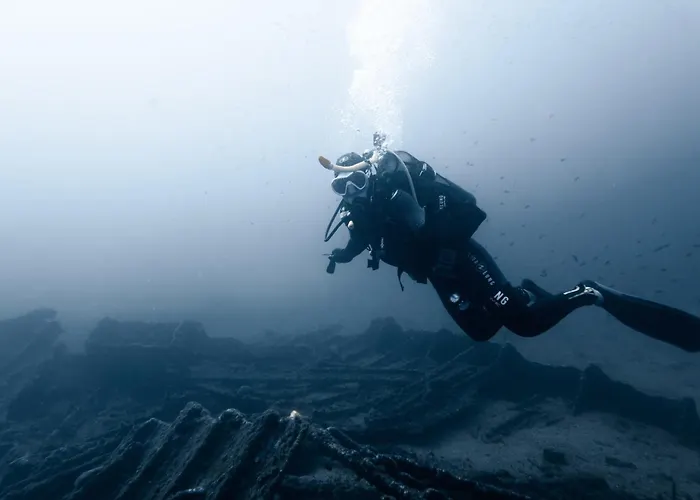 Appartement Rivage De Rêve - Hyères