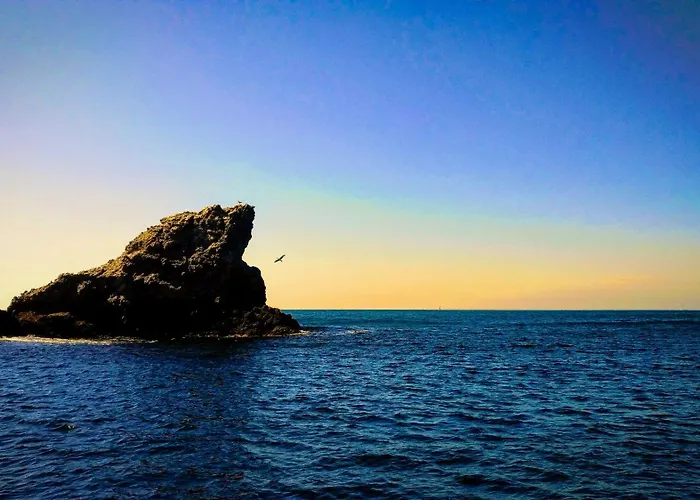 Rivage De Rêve - * Hyères